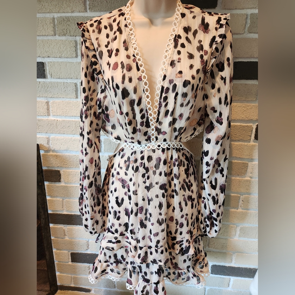 Animal Print Sheer Balloon Sleeve Dress Vneck